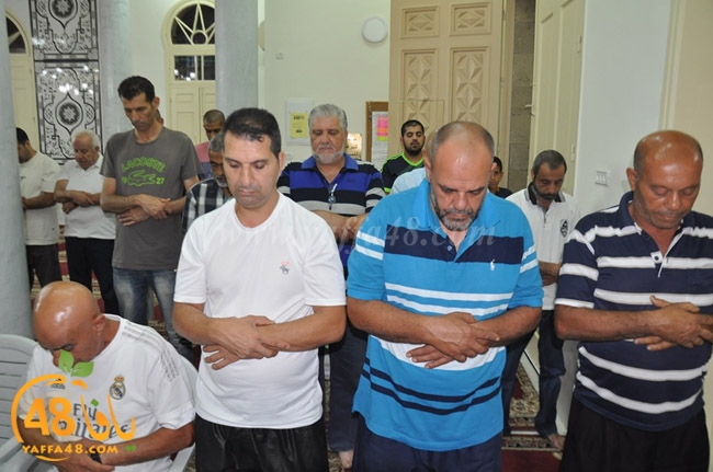 qader yaffa msajed (21).JPG